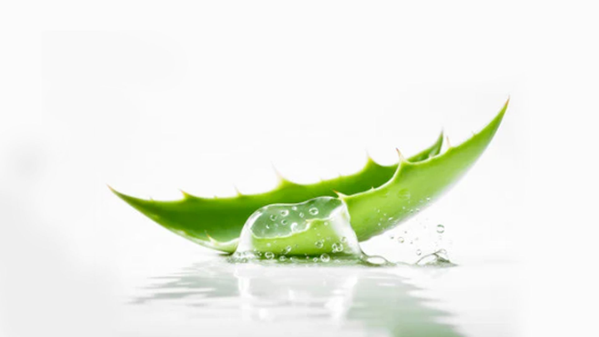 ALOE JUICE BIO